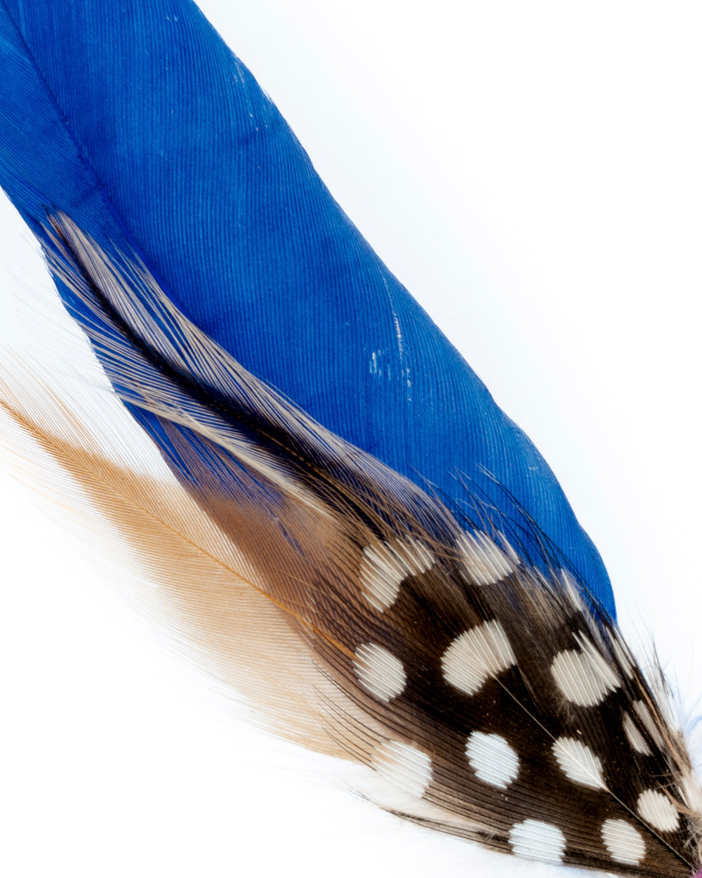PLUMA AZUL