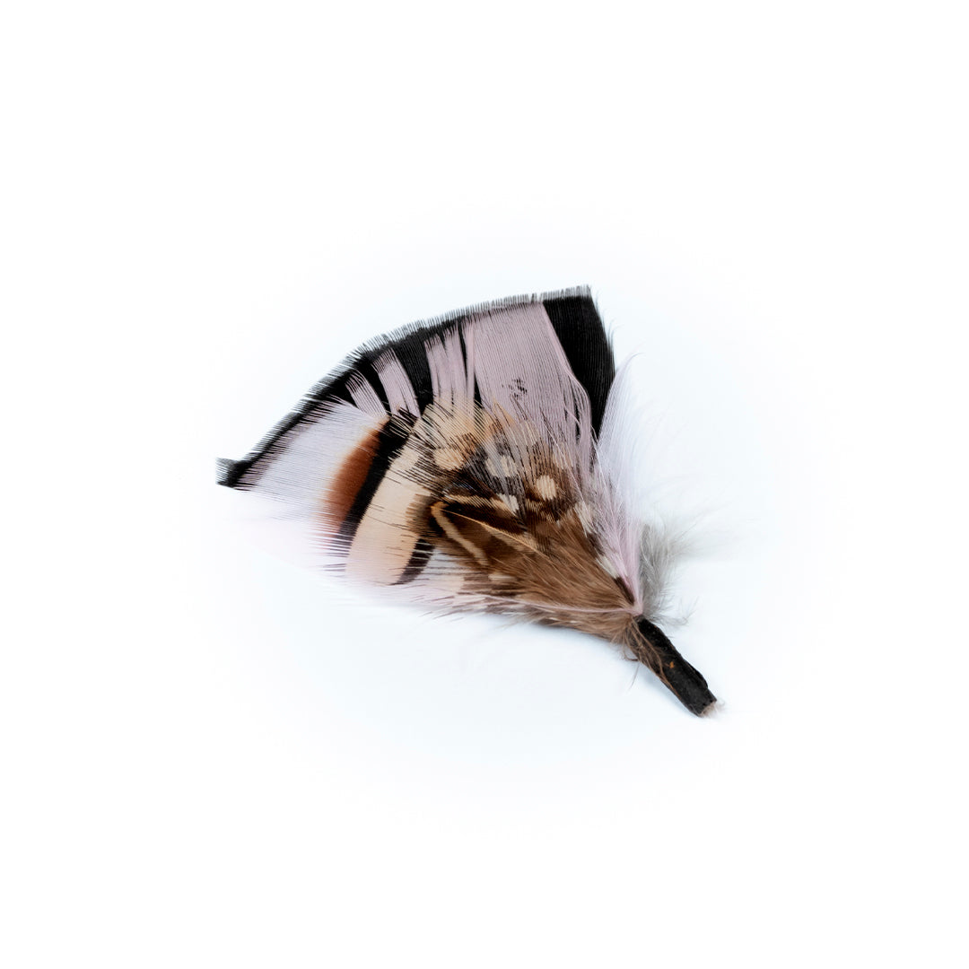 PLUMA ROSADA PUNTOS