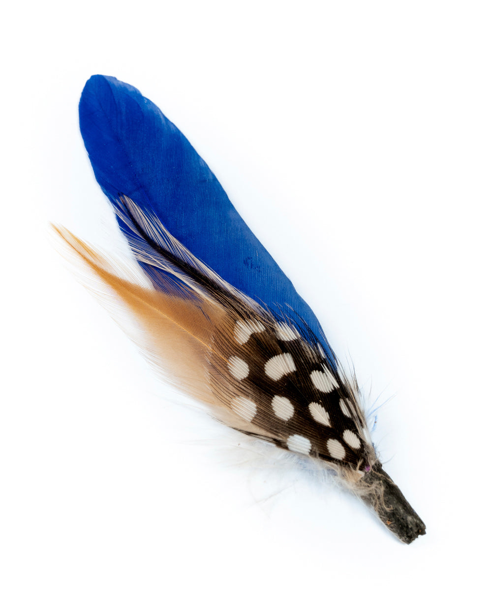 PLUMA AZUL