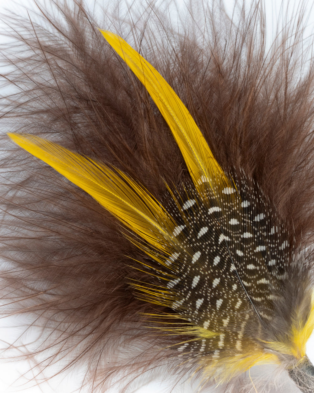 PLUMA AMARILLA