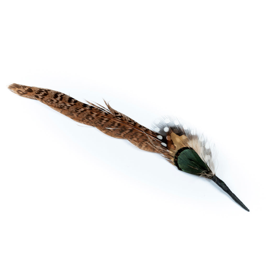 PLUMA CAFÉ LUNARES