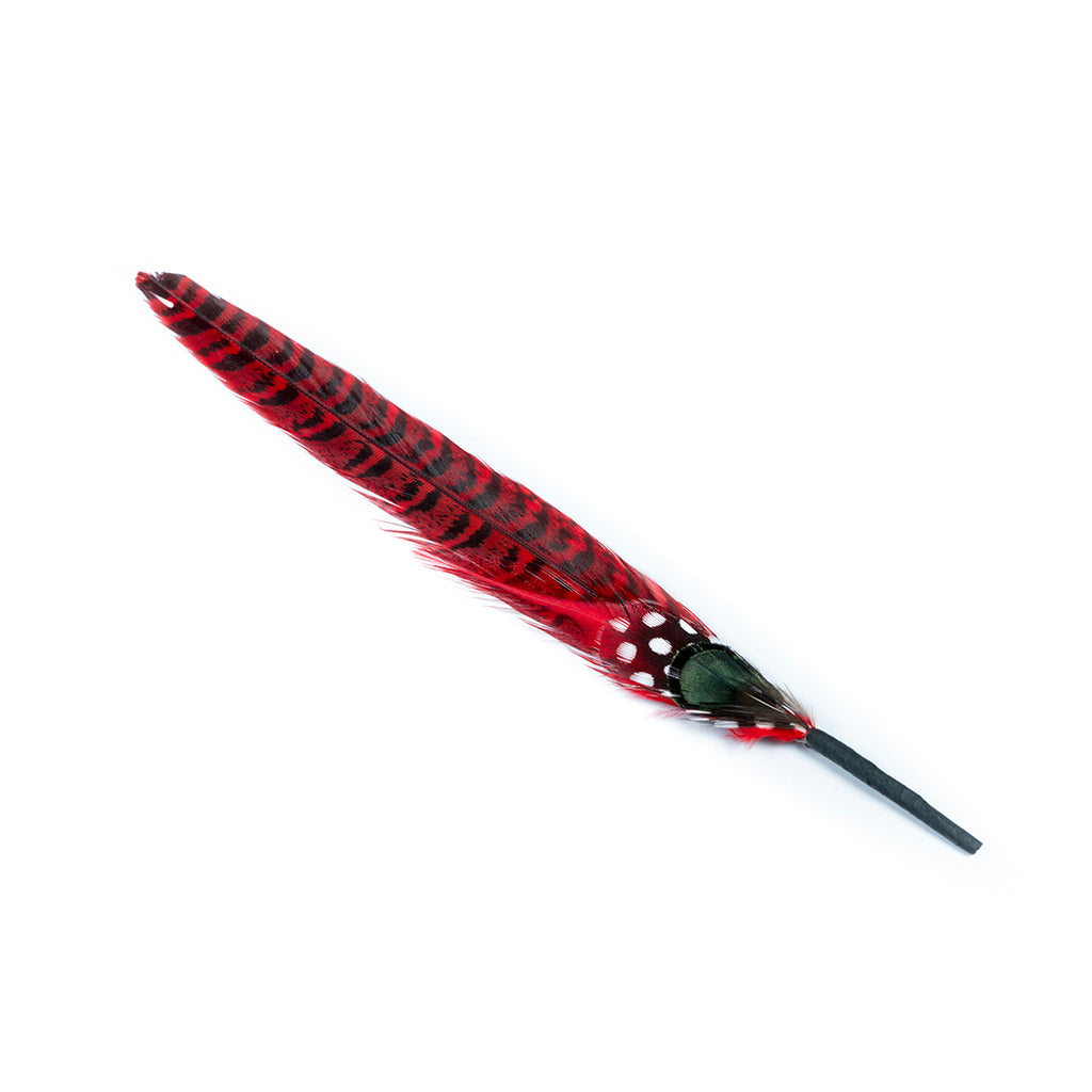 PLUMA ROJA