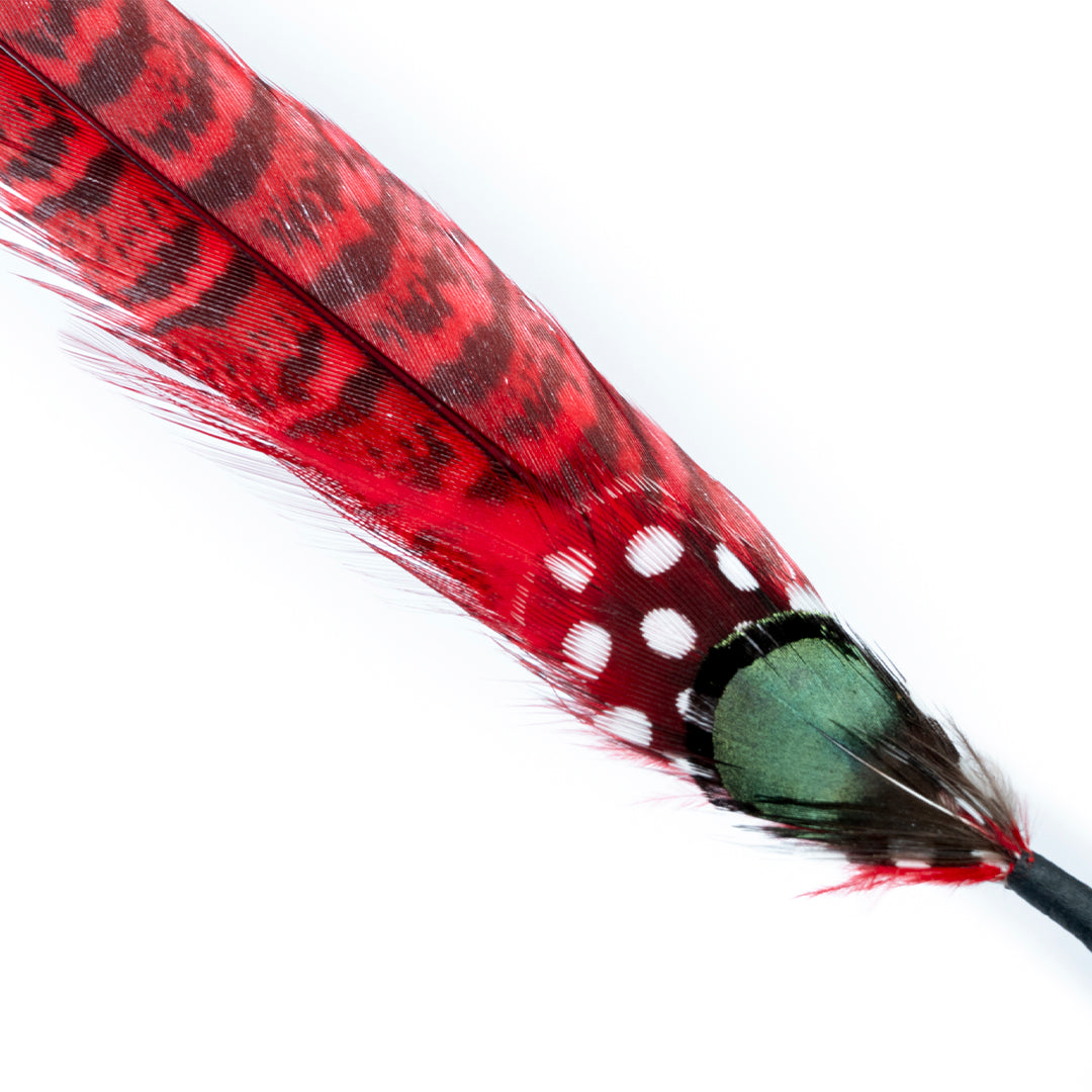 PLUMA ROJA