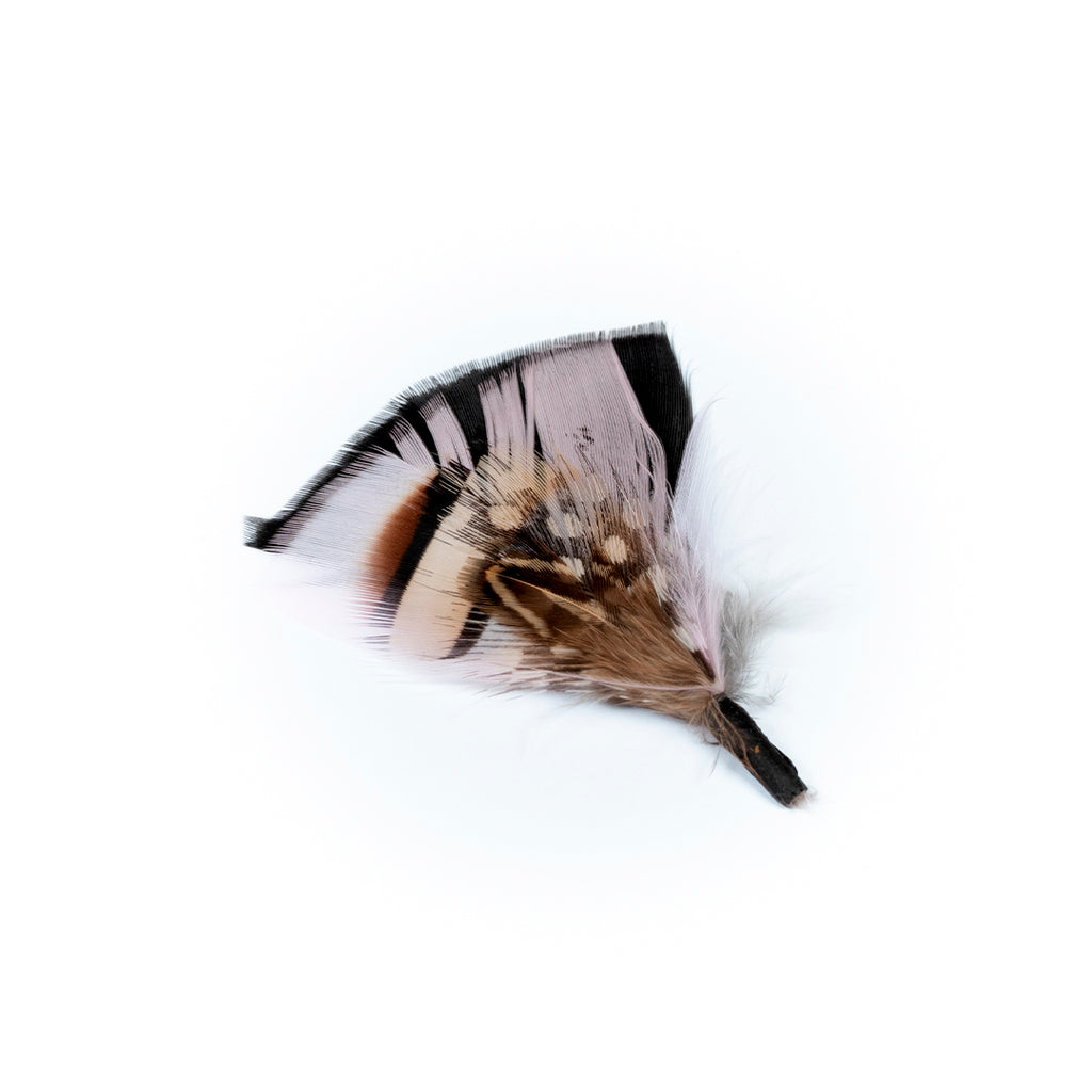 PLUMA ROSADA PUNTOS