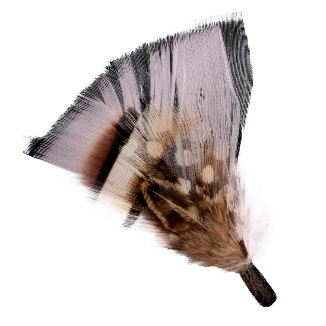 PLUMA ROSADA PUNTOS